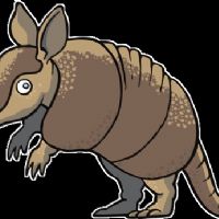 Profile picture for user TeacherPaulaAlvarez