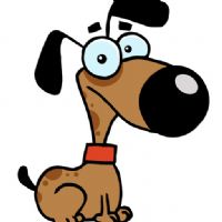 Profile picture for user asungilsanz