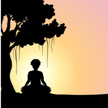 Profile picture for user mspaul