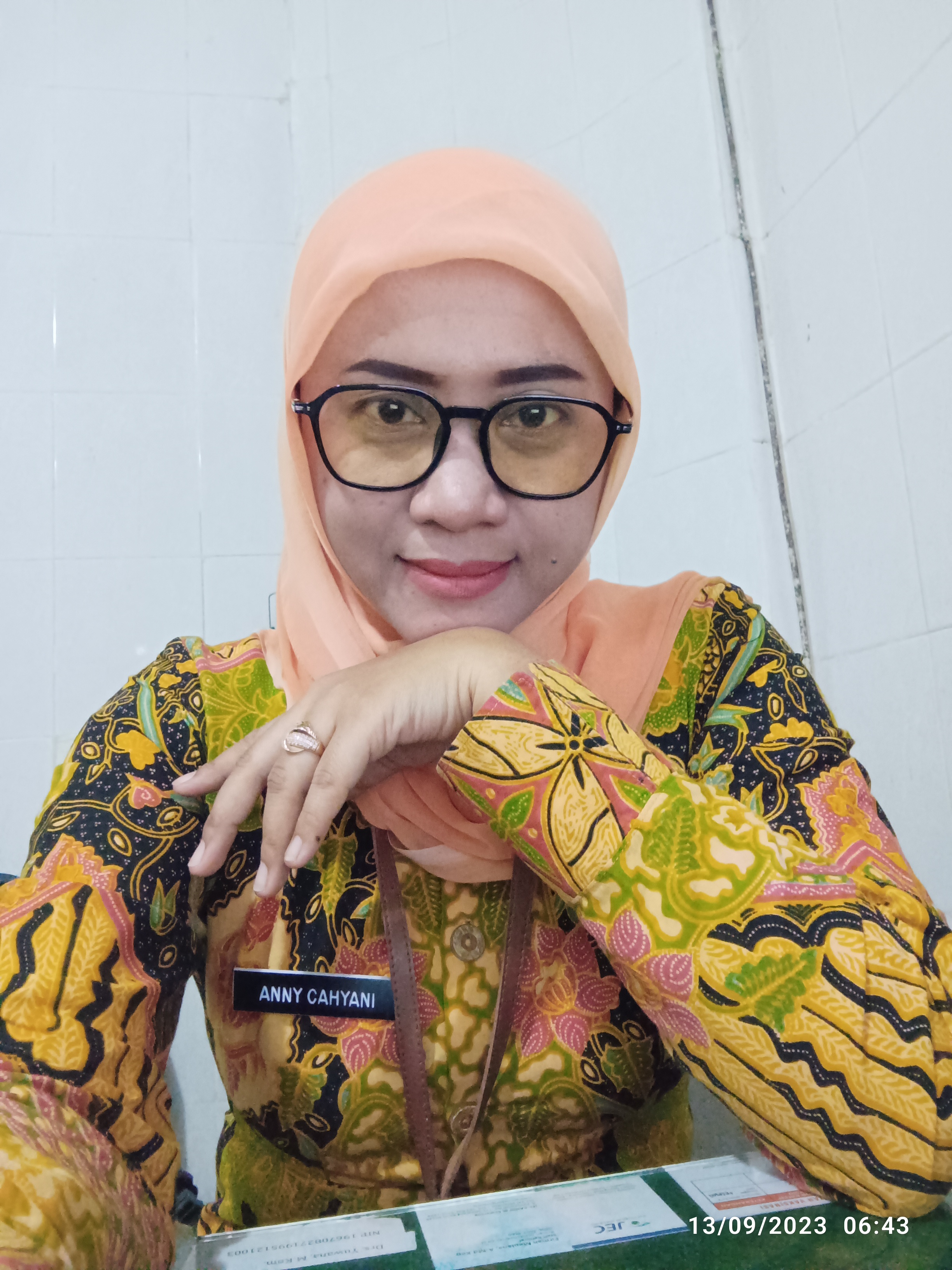 Profile picture for user annycahyani