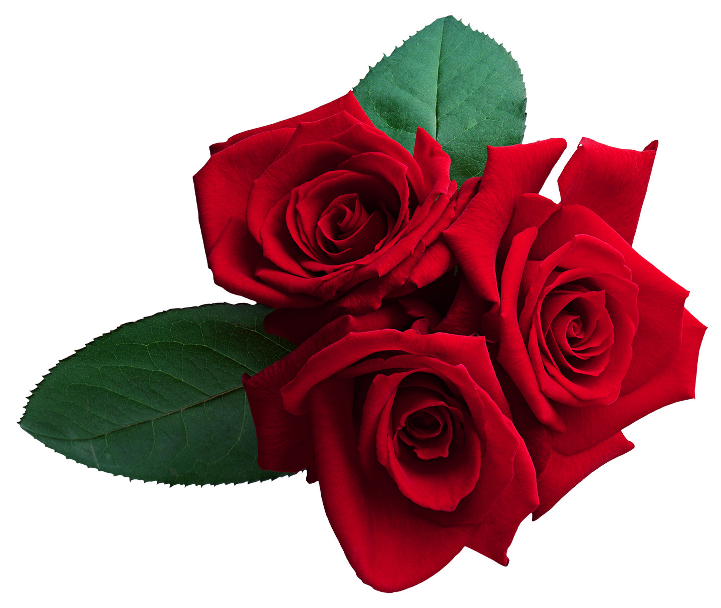 Profile picture for user solteacher