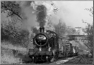 Profile picture for user SG654342