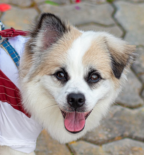 Profile picture for user Zaica