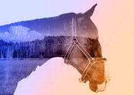 Profile picture for user Mariavictoriaseglar