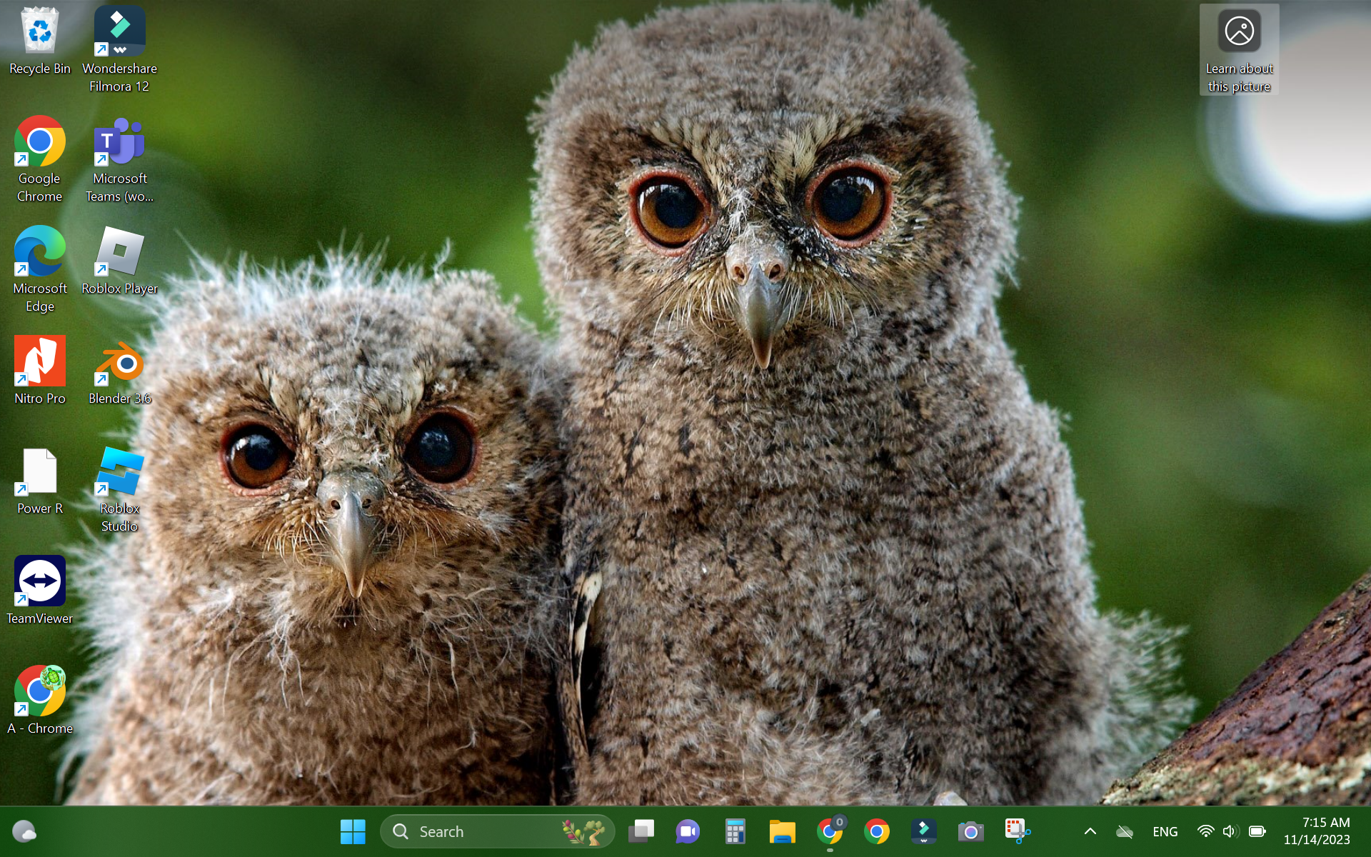 Profile picture for user aortiz040