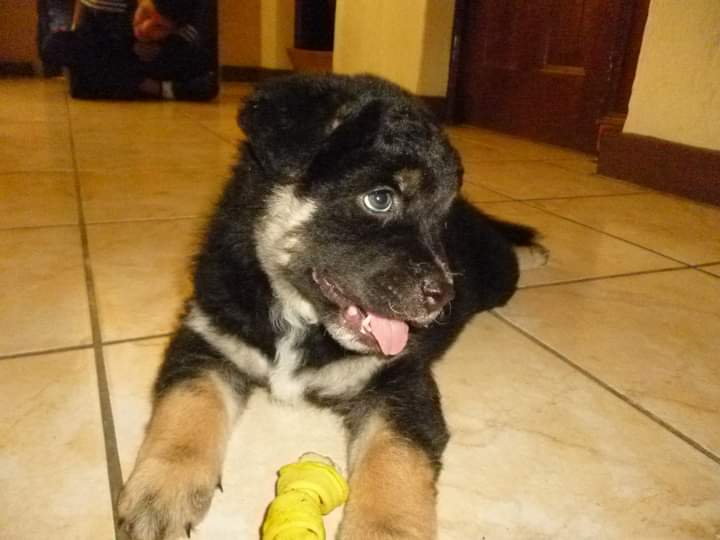 Profile picture for user Norma_Artiga