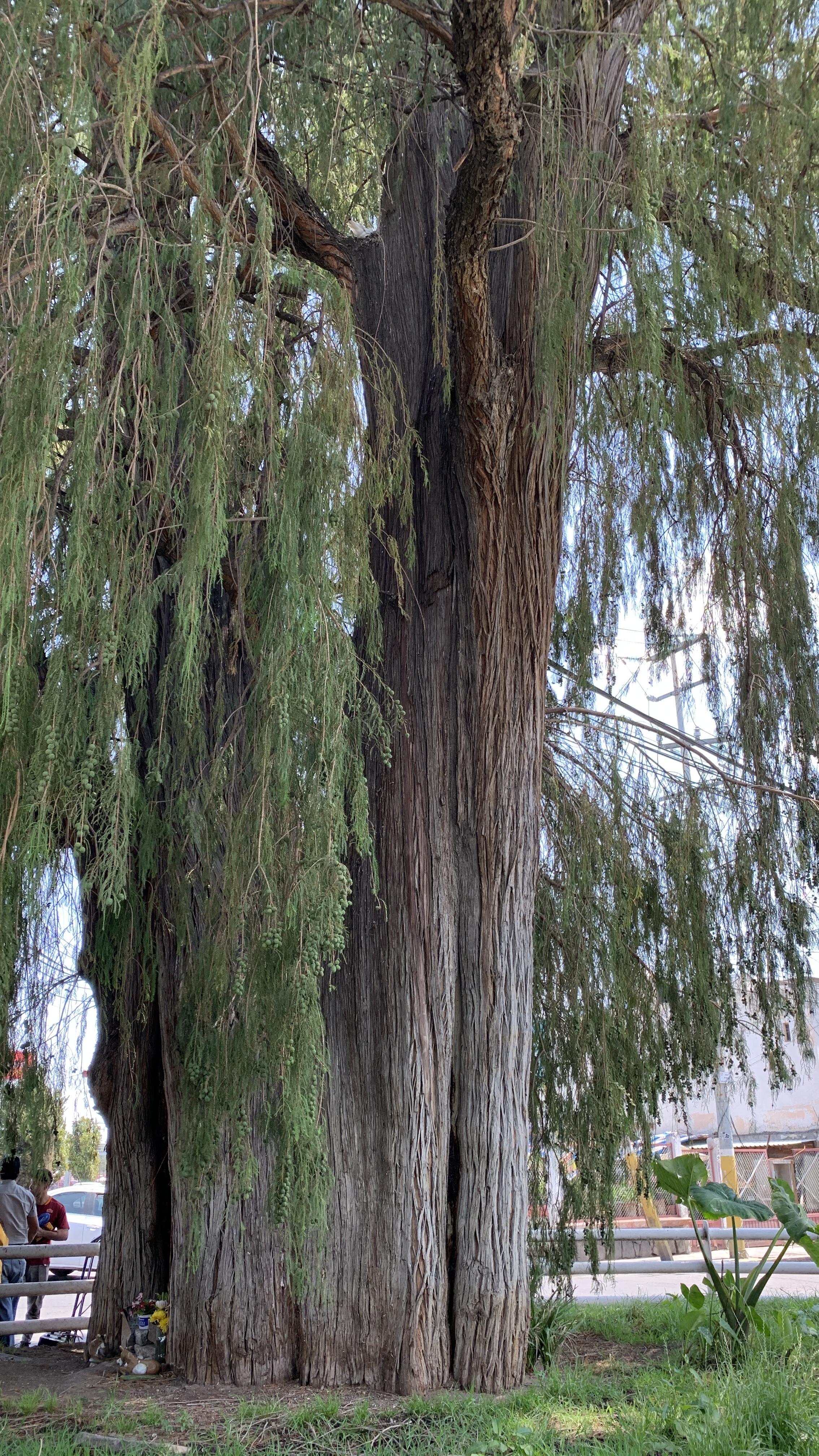 Profile picture for user adymatus2