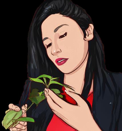 Profile picture for user Profesoradebiologia24