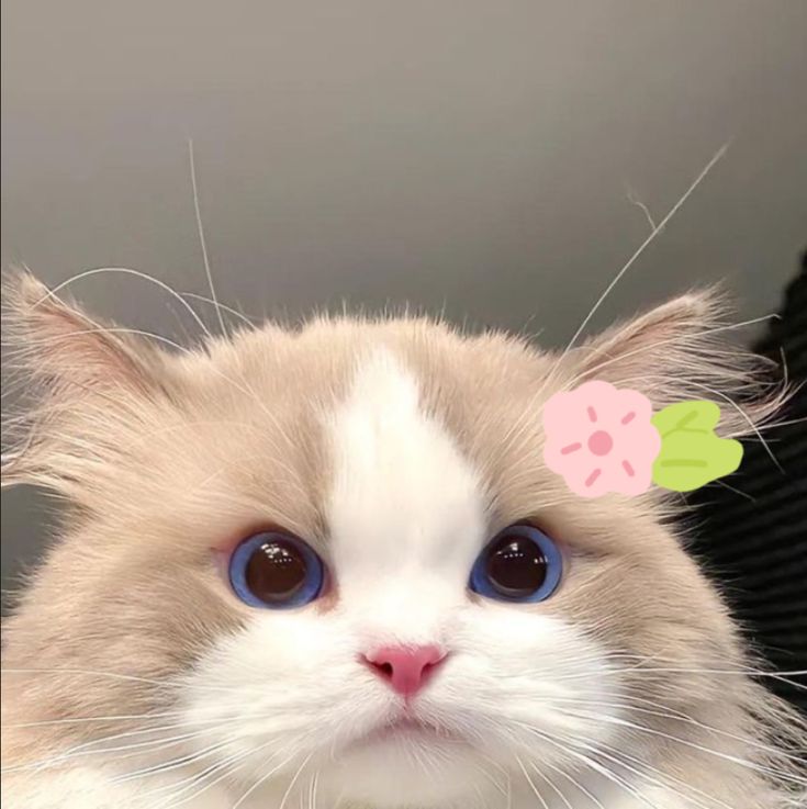 Profile picture for user ninaa_99