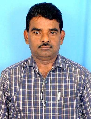 Profile picture for user sampangi