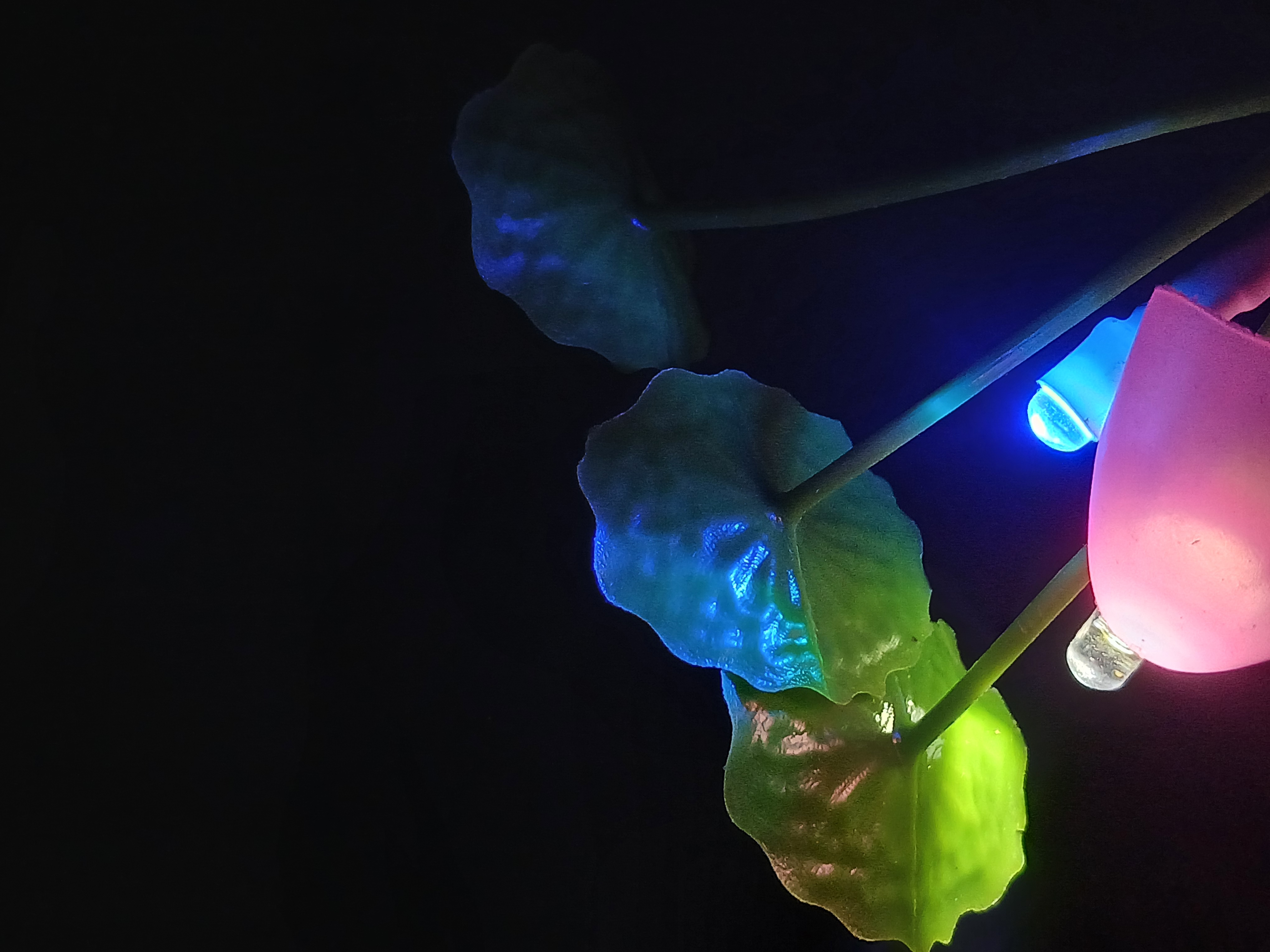 Profile picture for user reniadilandari