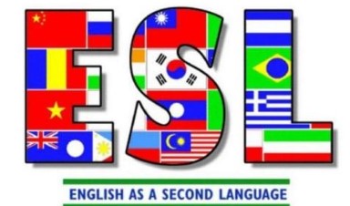 Profile picture for user Cxurtis