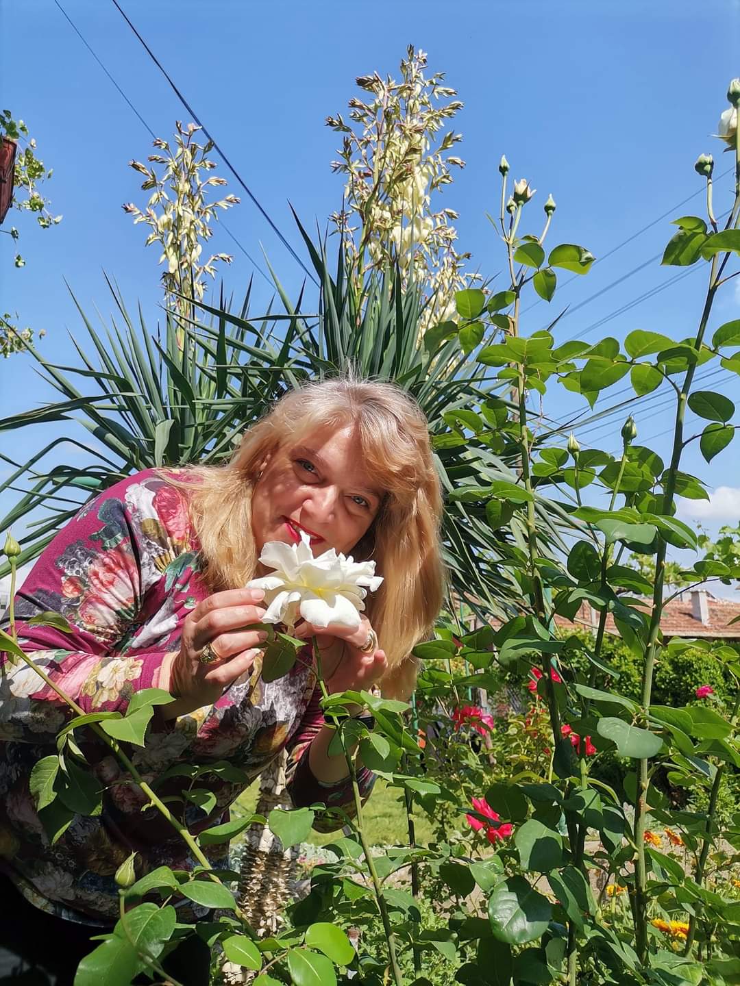 Profile picture for user sesilias