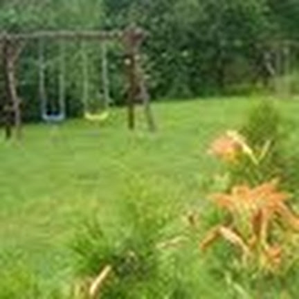 Profile picture for user tulazoperencian