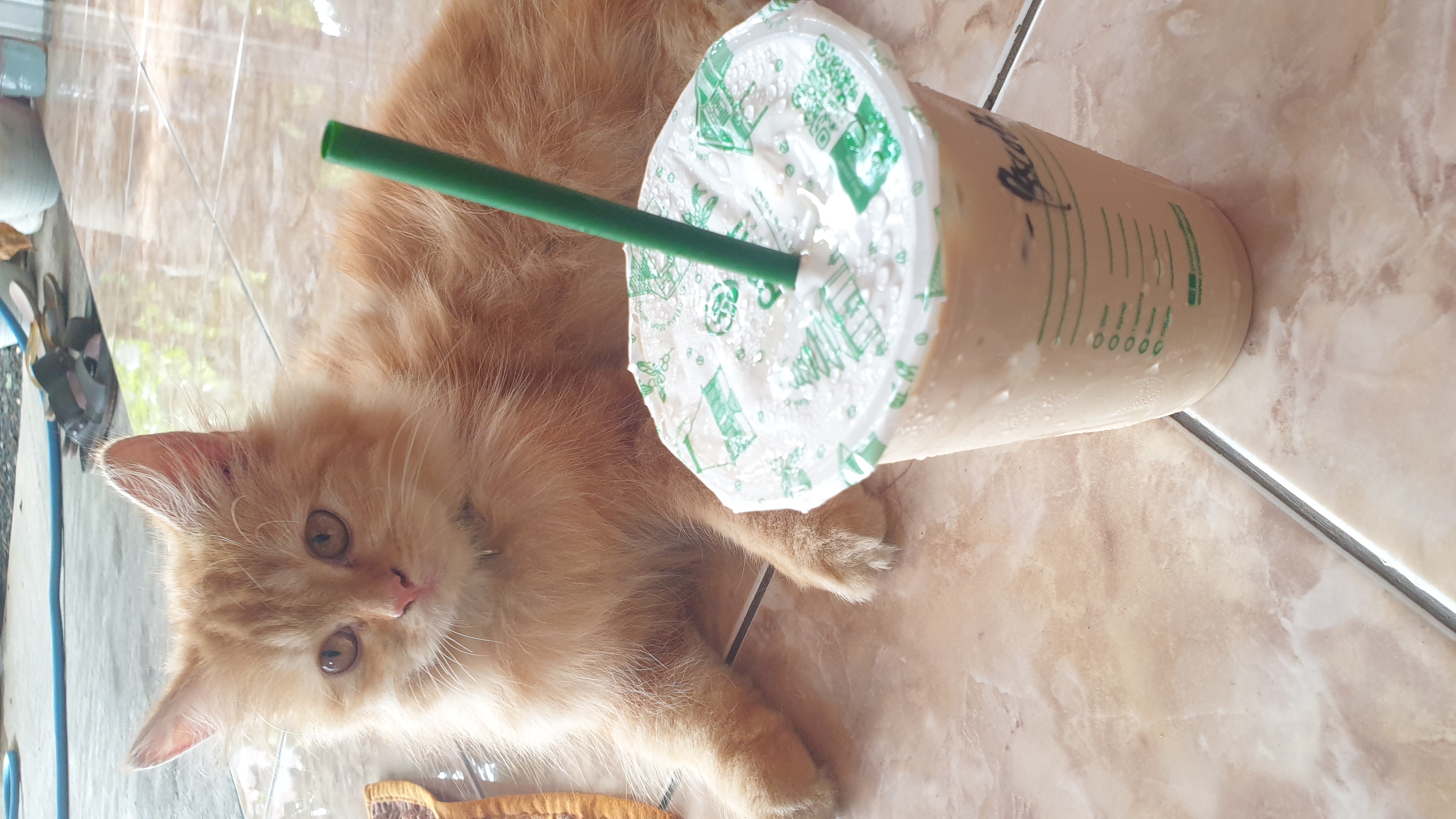 Profile picture for user damayaputri99