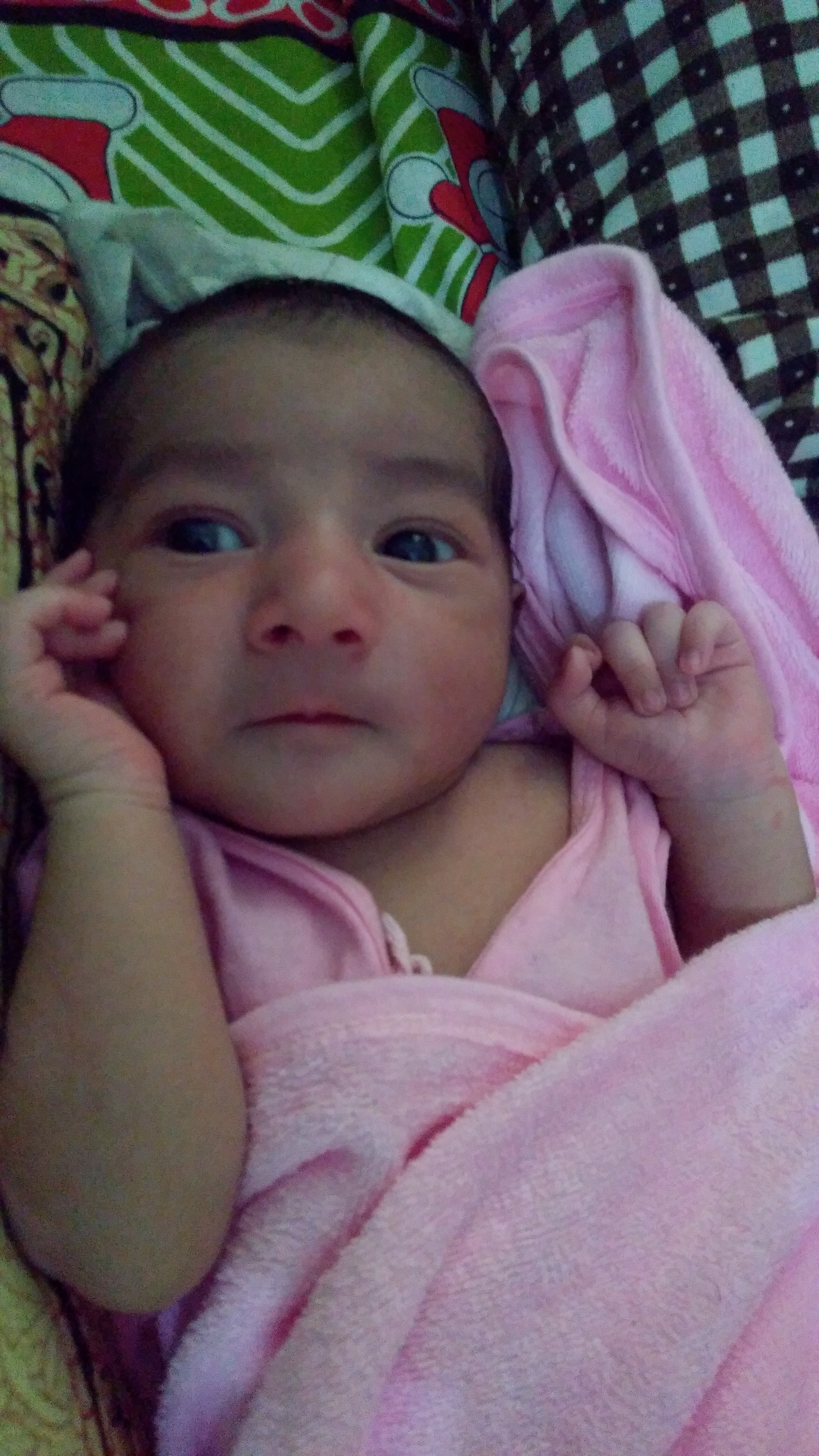 Profile picture for user mariyaafroth