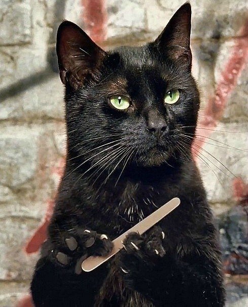 Profile picture for user apolin_kr