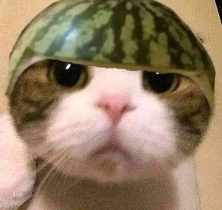 Profile picture for user Faza__