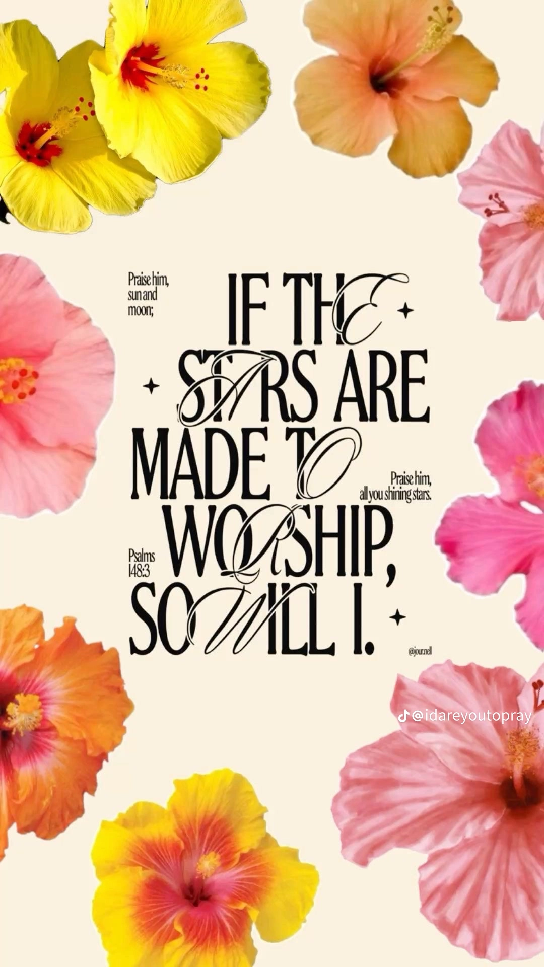 Profile picture for user chrissy_omi-97