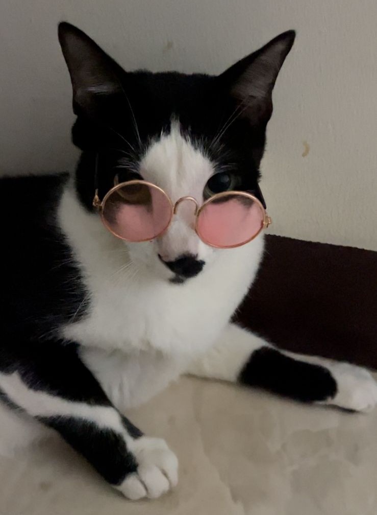 Profile picture for user malikaabud