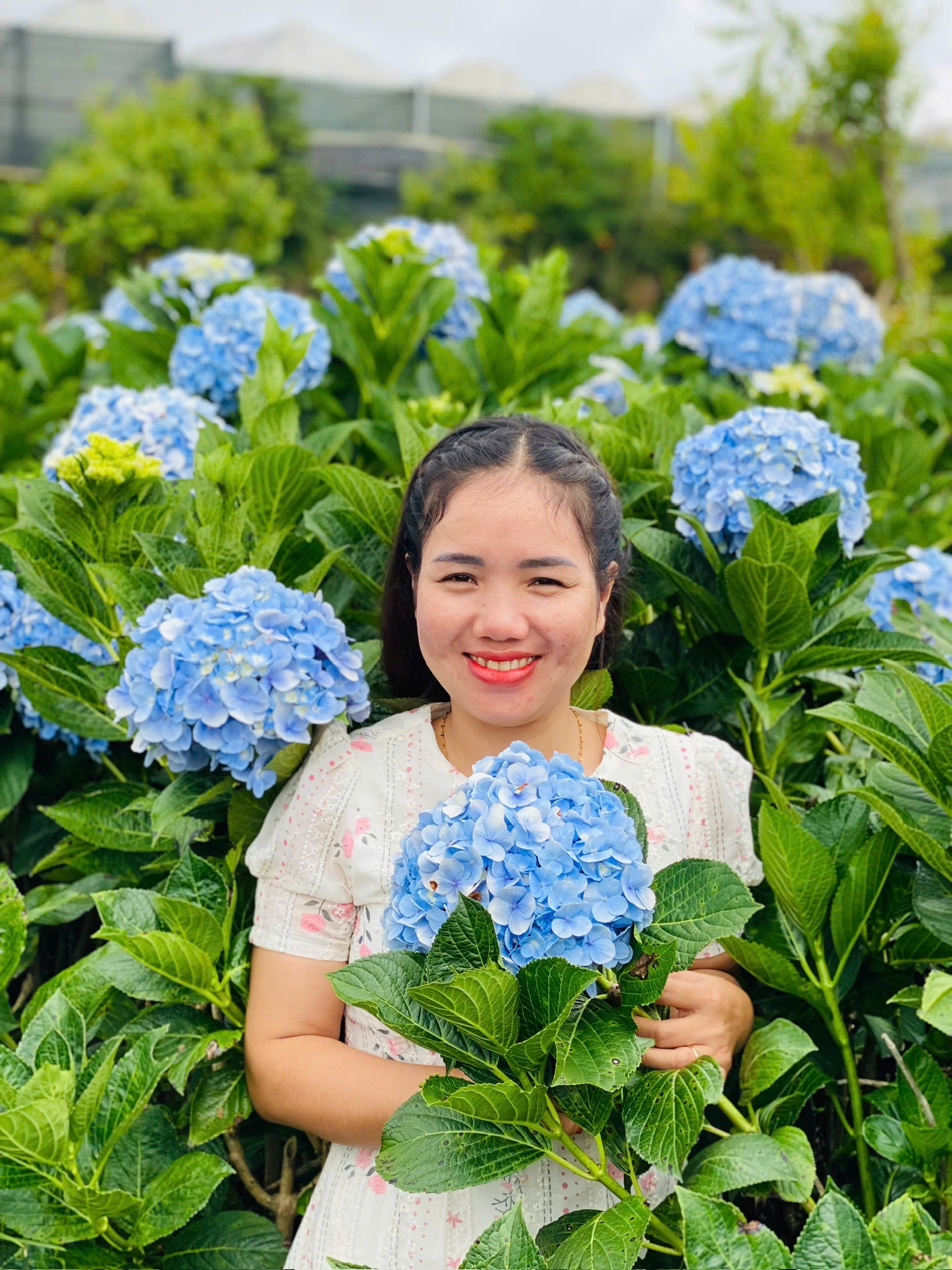 Profile picture for user Se153