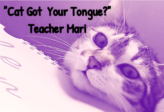 Profile picture for user TeacherMari