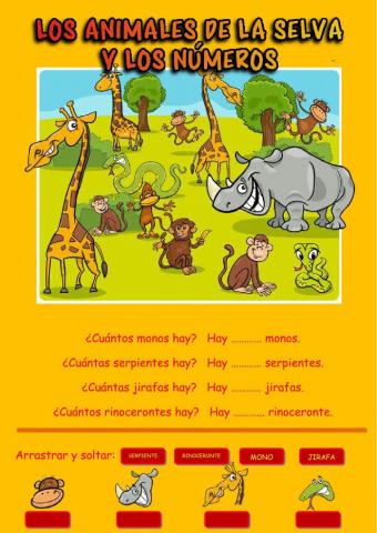 Los animales de la selva y los números