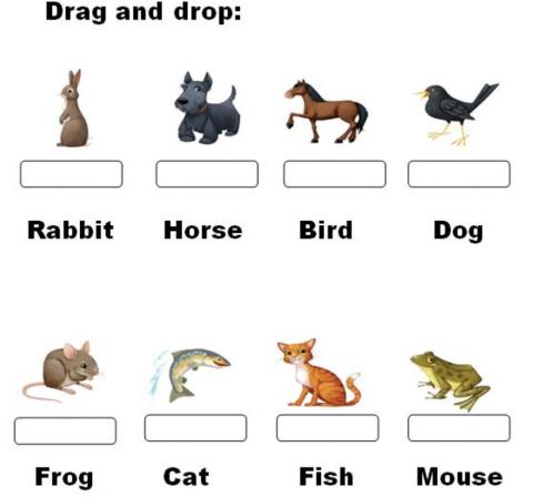 Animals. Match the correct word.