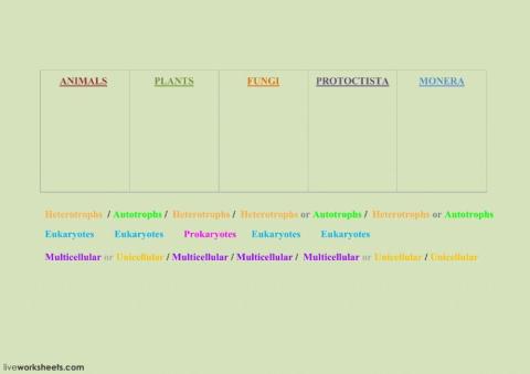 Characteristics 5 kingdoms