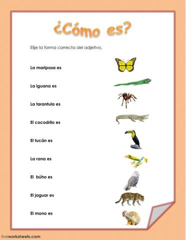 Animales de colores