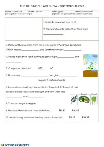 Photosynthesis