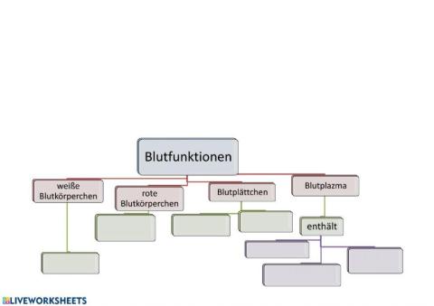 Blutfunktionen Aufgabe zum Video