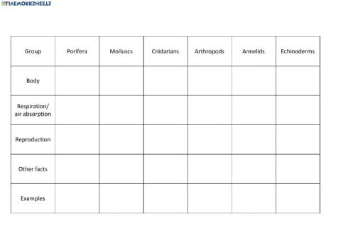 Invertebrate kingdom, characteristics