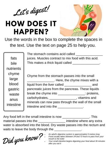 Digestive system gap fill