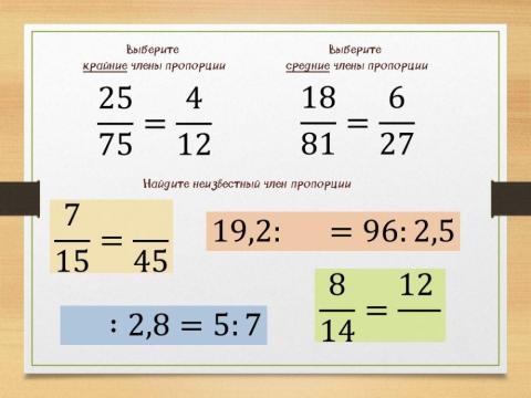 Пропорция №1