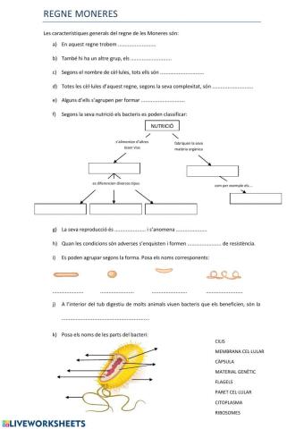 El regne de les moneres