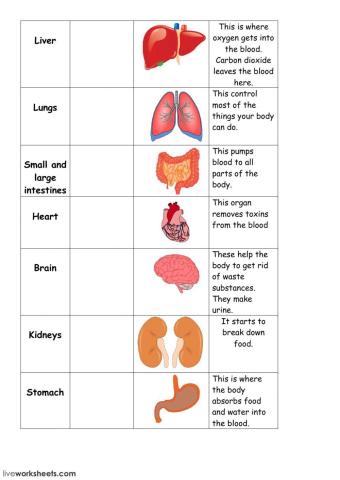 Organ Sort