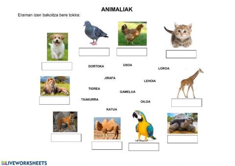 Animaliak