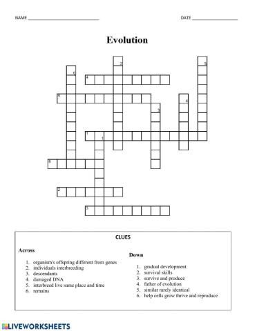 Evolution Vocabulary Crossword