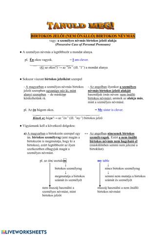 Possessive Adjectives