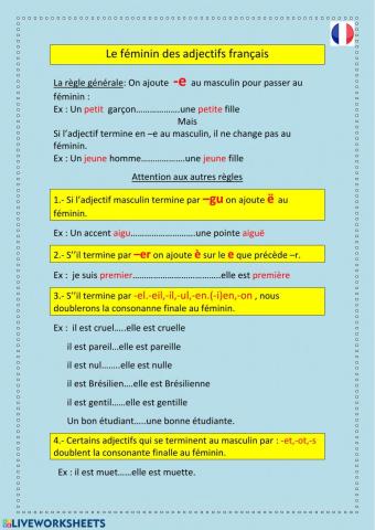 Féminin des adjectifs français