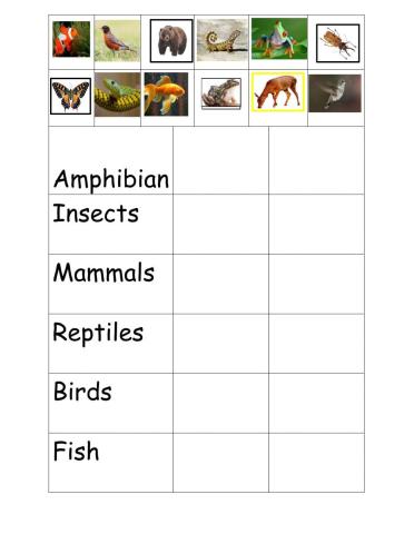 Grouping Living Things