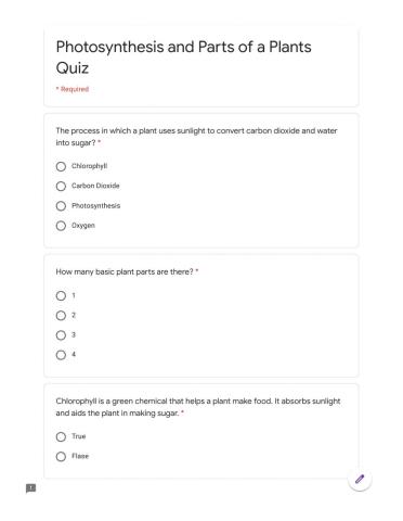 Photosynthesis Quiz