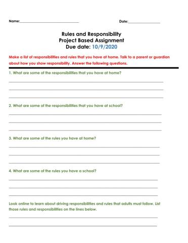 Rules and responsibilities project