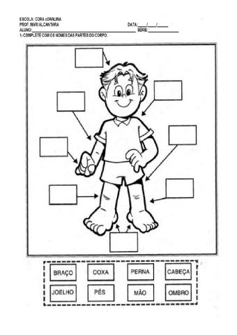 Partes do Corpo Humano