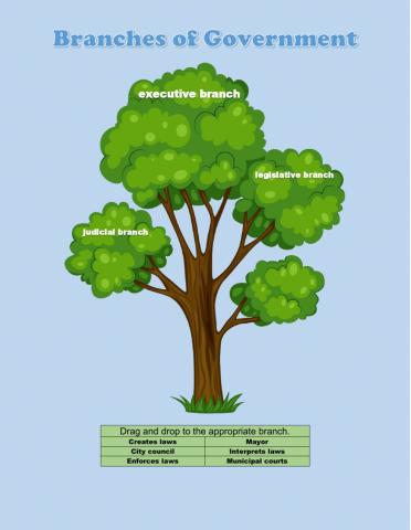 Branches of Local Government