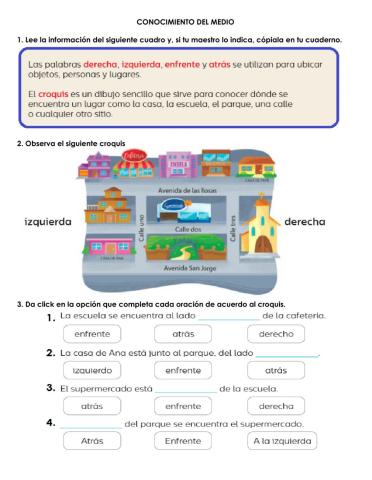 Z553 Conocimiento del medio 1°