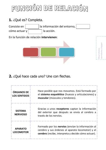 Función de relación