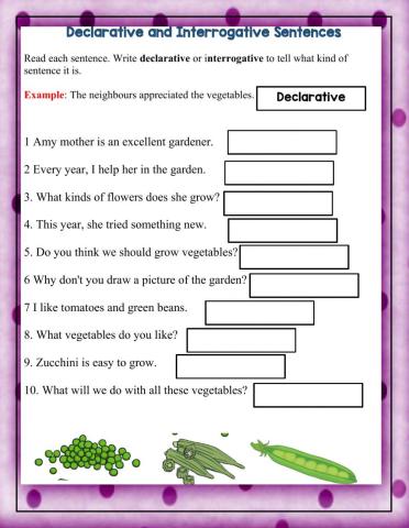 Declarative and Interrogative Sentences