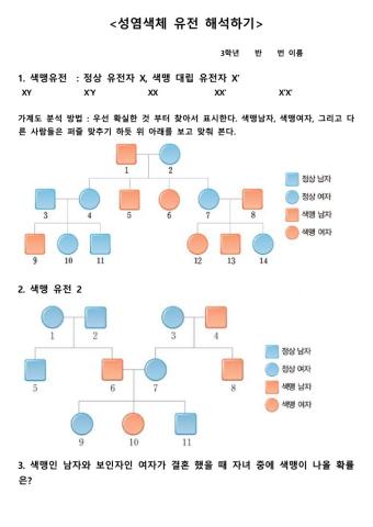 성염색체유전(색맹유전)